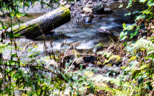 A forest stream flows gently over rocks with a moss-covered log partially submerged, surrounded by vibrant green foliage and ferns, captured with a motion blur effect emphasizing movement and