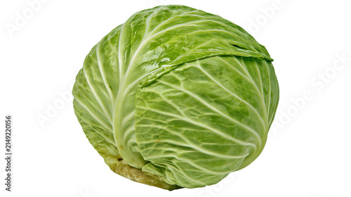 Fresh green cabbage head with visible veins on leaves