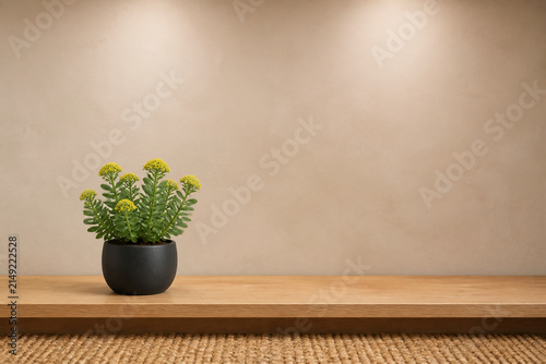 Rhodiola rosea plant in matte black stoneware pot on light oak shelf, natural wellness and herbal medicine concept
