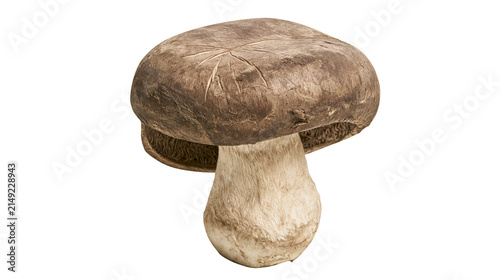 Konstfotografi Large brown mushroom with thick stem and gills