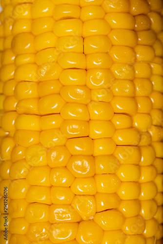 Corn close-up vertical photo background