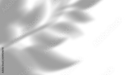 Shadow Overlay Windows shadow overlay PNG