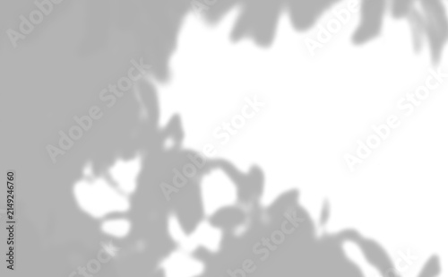 Shadow Overlay Windows shadow overlay PNG