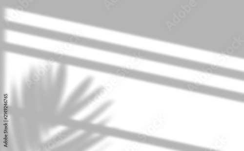 Shadow Overlay Windows shadow overlay PNG