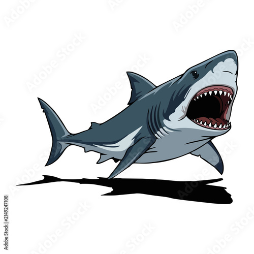 great white shark vector
