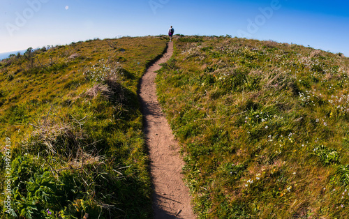 Fotografie A lone person walks along a winding dirt path on a green, grassy hill