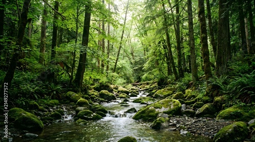 A peaceful small stream flowing through a lush green forest with mossy rocks and tall trees under soft natural daylight in summer