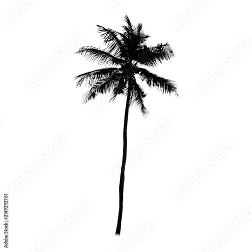 Tropical Palm Tree Silhouette, Beach and Summer Vacation Illustration