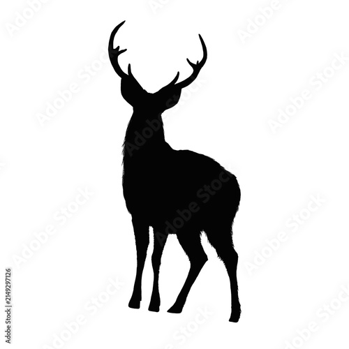 Deer Silhouette Standing with Antlers, Wildlife Animal Illustration