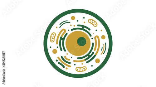 Animal Cell Diagram Isolated Transparent Background