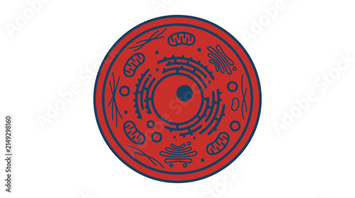 Animal Cell Diagram, Biology Science, Mitochondria, Nucleus, Golgi Apparatus