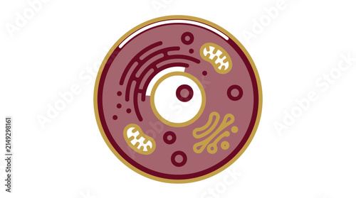 Animal Cell Diagram Isolated Transparent Background Vector