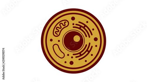 Animal Cell Illustration Isolated on Transparent Background