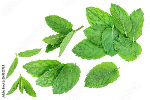 Фотография fresh green mint leaves isolated on white background, top view