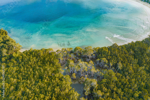 Aerial view of a dense mangrove forest meeting a curving sand beach and the turquoise shallows of a calm bay