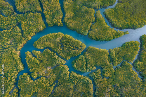 Top down aerial view of green mangrove islands divided by wide blue tidal channels winding through the delta