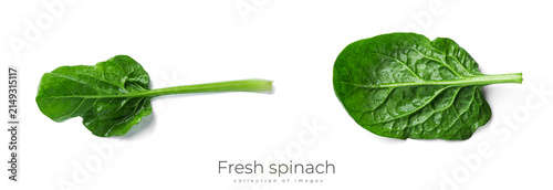 Fresh spinach on a white background