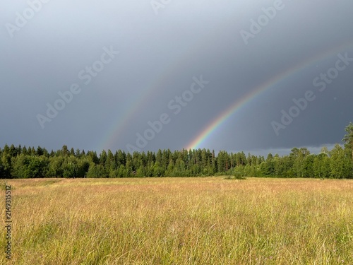 Double rainbow arcs over a grassy field and forest under a stormy sky