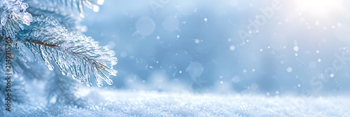 Frosted pine branch in soft winter snowfall with bokeh lights
