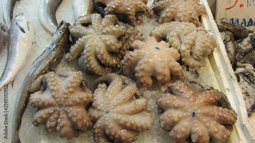 Pescaderia