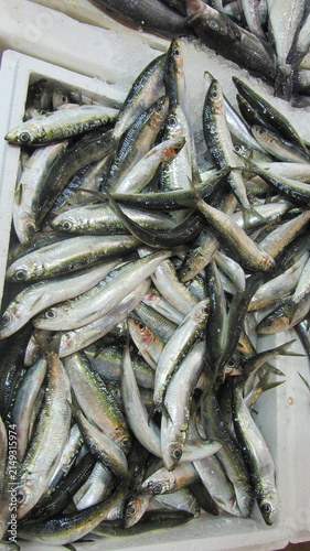 Pescaderia