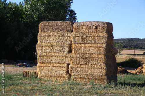 fardos de paja