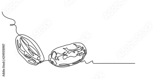 Animated self drawing of continuous line draw whole heap healthy sweet organic fruit dates for orchard logo identity. Fresh palm fruitage concept for fruit garden icon. Full length one line animation,