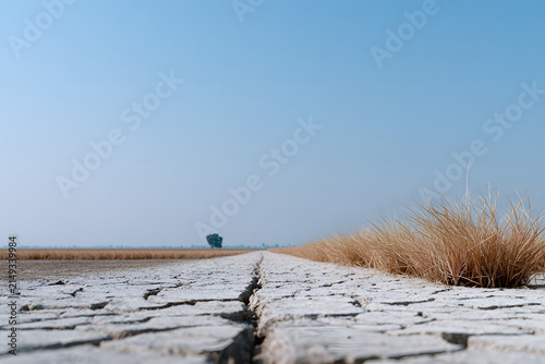 Dry Season Rice Field With Cracked Mud Texture And Clean Open Sky Copy Space