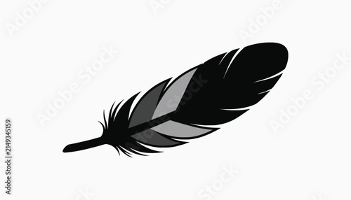 Stylized black and grey bird feather isolated on white