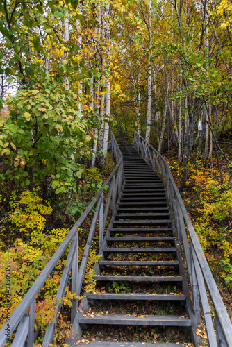 Autumn forest with wooden stairs and fallen leaves