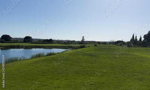 Картината върху платно Vibrant green golf course landscape with mature trees under a clear blue sky