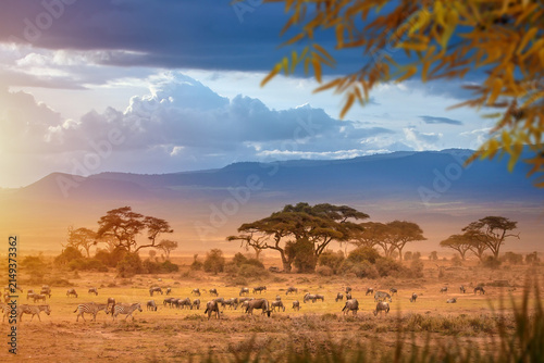 Wildlife safari, African savanna with zebras and wildebeest grazing across open plains under acacia trees and dramatic sunset clouds