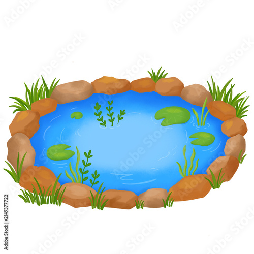 Garden Pond with Water Plants and Rocks Nature Illustration