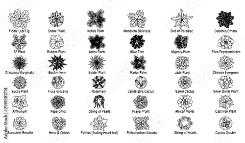 : Set of Different House Plants Top View Vector CAD Blocks for Architectural Floor Plans