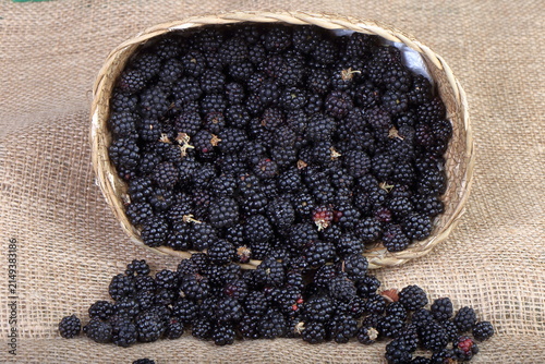 Fresh ripe blackberries spilling out of a woven basket onto a rustic burlap cloth