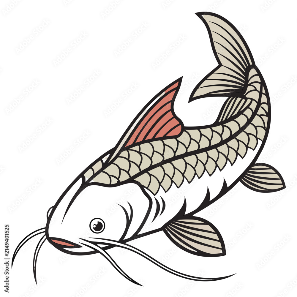 Fototapeta premium fish on a white background
