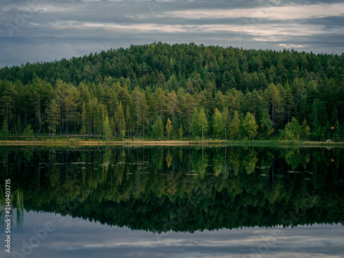 Calm lake reflecting a dense green forest and cloudy evening sky in northern Sweden.