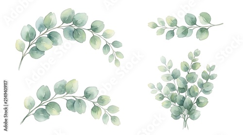 Watercolor eucalyptus leaf branches and sprigs, set of three green botanical on a white background leaves