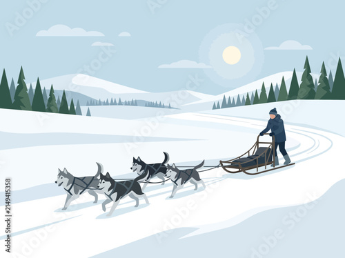 Bild auf Leinwand A musher standing on a sled pulled by four husky dogs in harness.