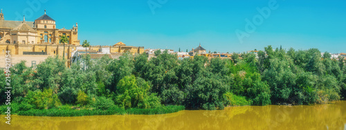 Skyline of Cordoba with cathedral and lush green vegetation along river under a clear blue sky. Andalusia, Spain.