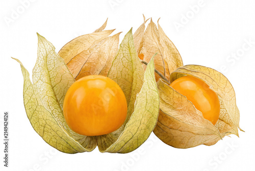 Canvastavla Fresh Cape Gooseberry Fruits with Open Papery Husks