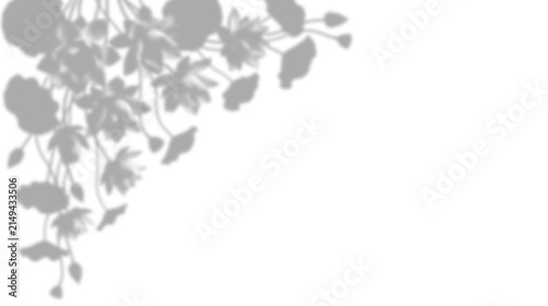 Fotografie Shadow of hanging flowers isolated on transparent background