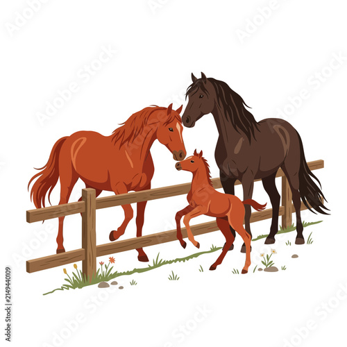 Vector Illustration of Horse Family with Adult Stallion Mare and Foal