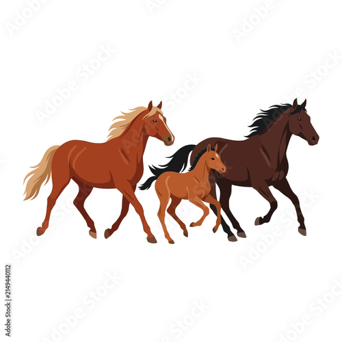 Group of wild horses running together vector illustration