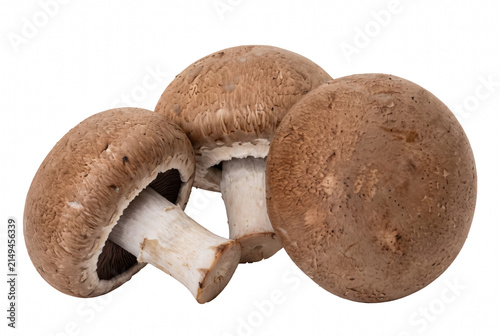 Konstfotografi Group of three fresh brown baby bella mushrooms