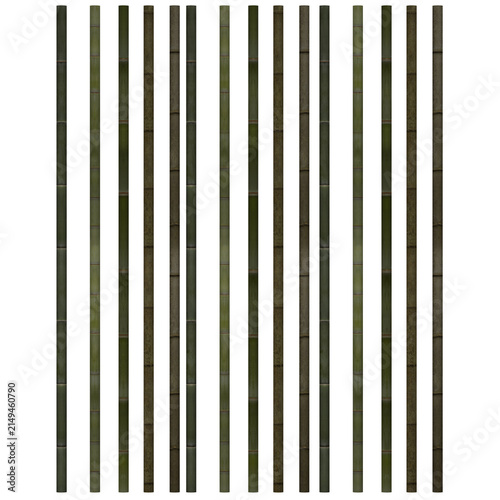 Cuadro en lienzo Bamboo Plant Green Nature Stalks