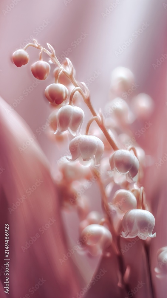 Obraz premium Elegant lily of the valley on a soft pink background, perfect for mobile wallpaper.