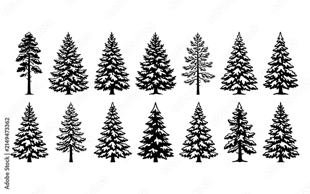 Fototapeta premium Set of black and white pine tree silhouettes for forest design elements and nature themed graphic projects