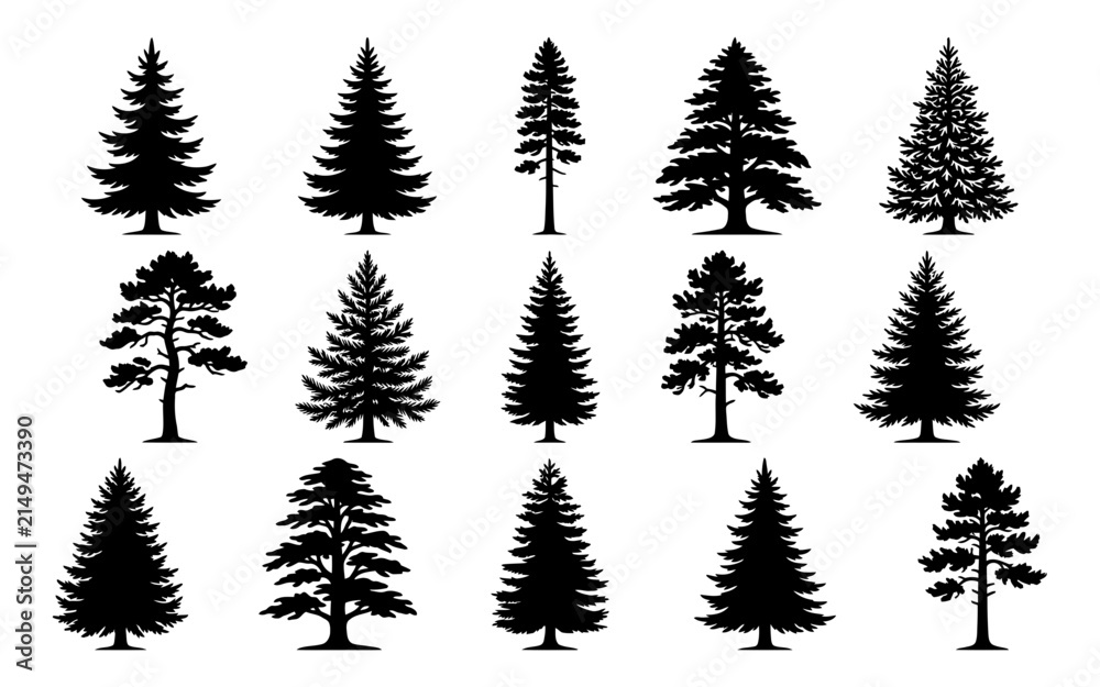 Obraz premium Set of black silhouettes of coniferous trees isolated on a white background for design and nature projects