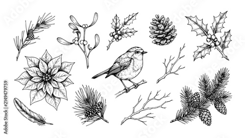 Obraz na plátně Hand drawn christmas elements collection with robin bird poinsettia holly mistle